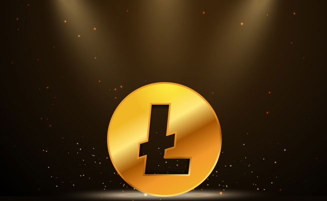 litecoin-wale-haeufen-unermuedlich-ltc-an-waehrend-die-zahl-der-inhaber-steigt