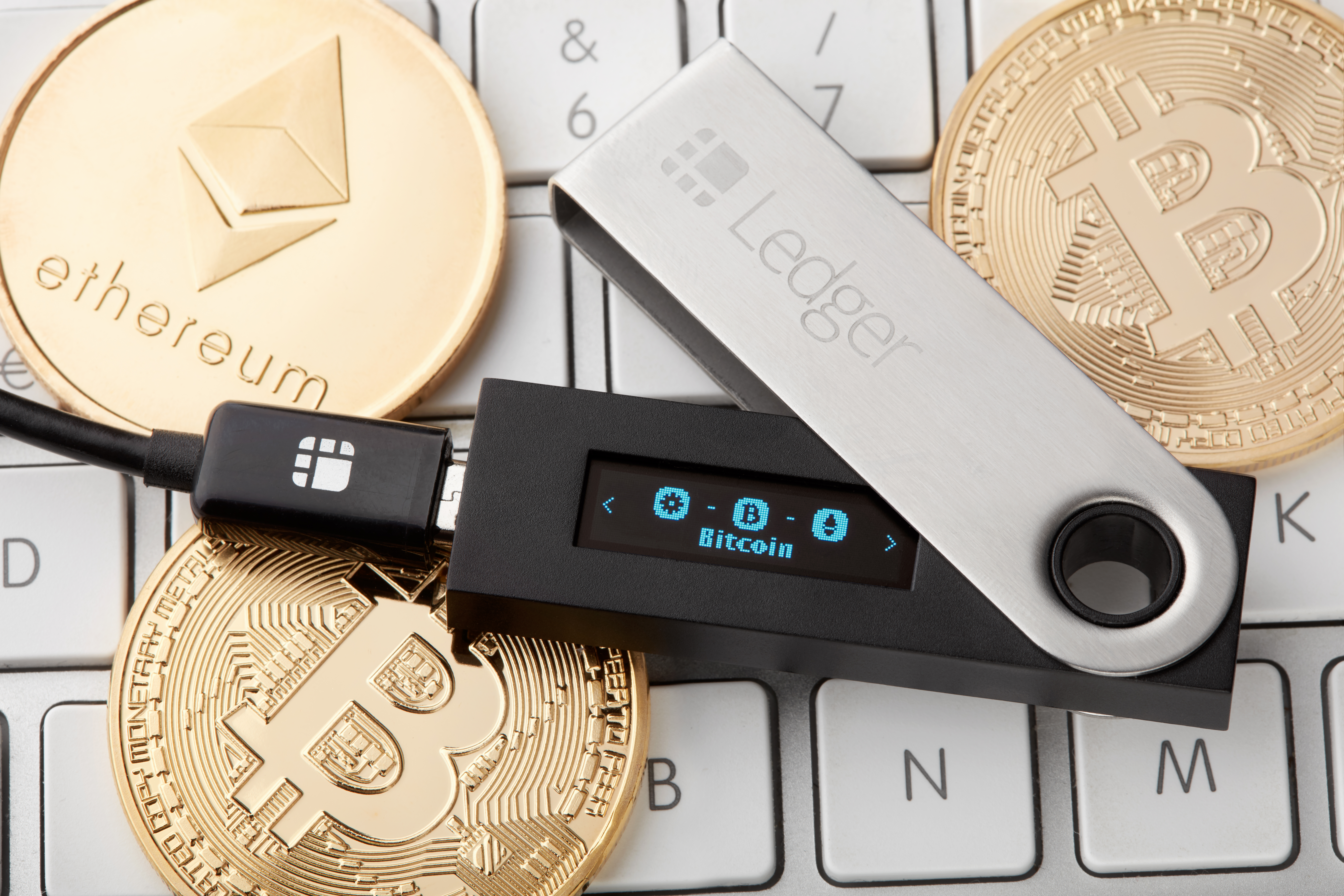 ledger-new-york