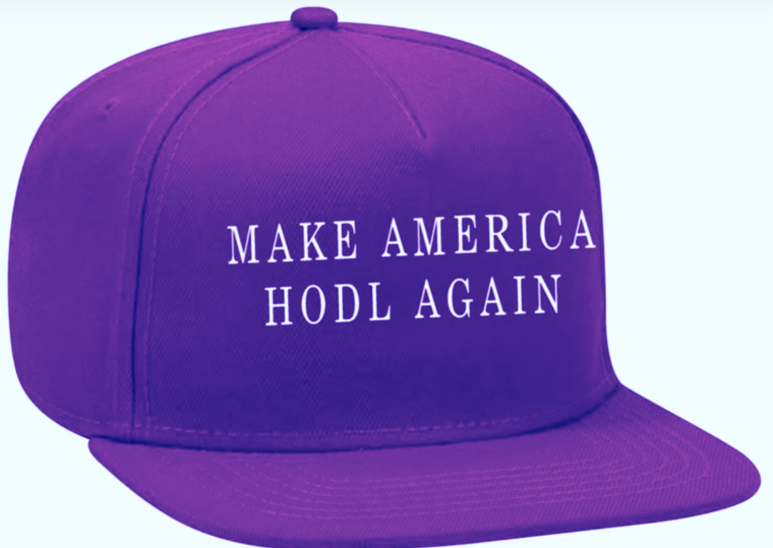 make-america-hodl-again-john-mcafee-gibt-weitere-details-zu-praesidentschaftskandidatur-bekannt