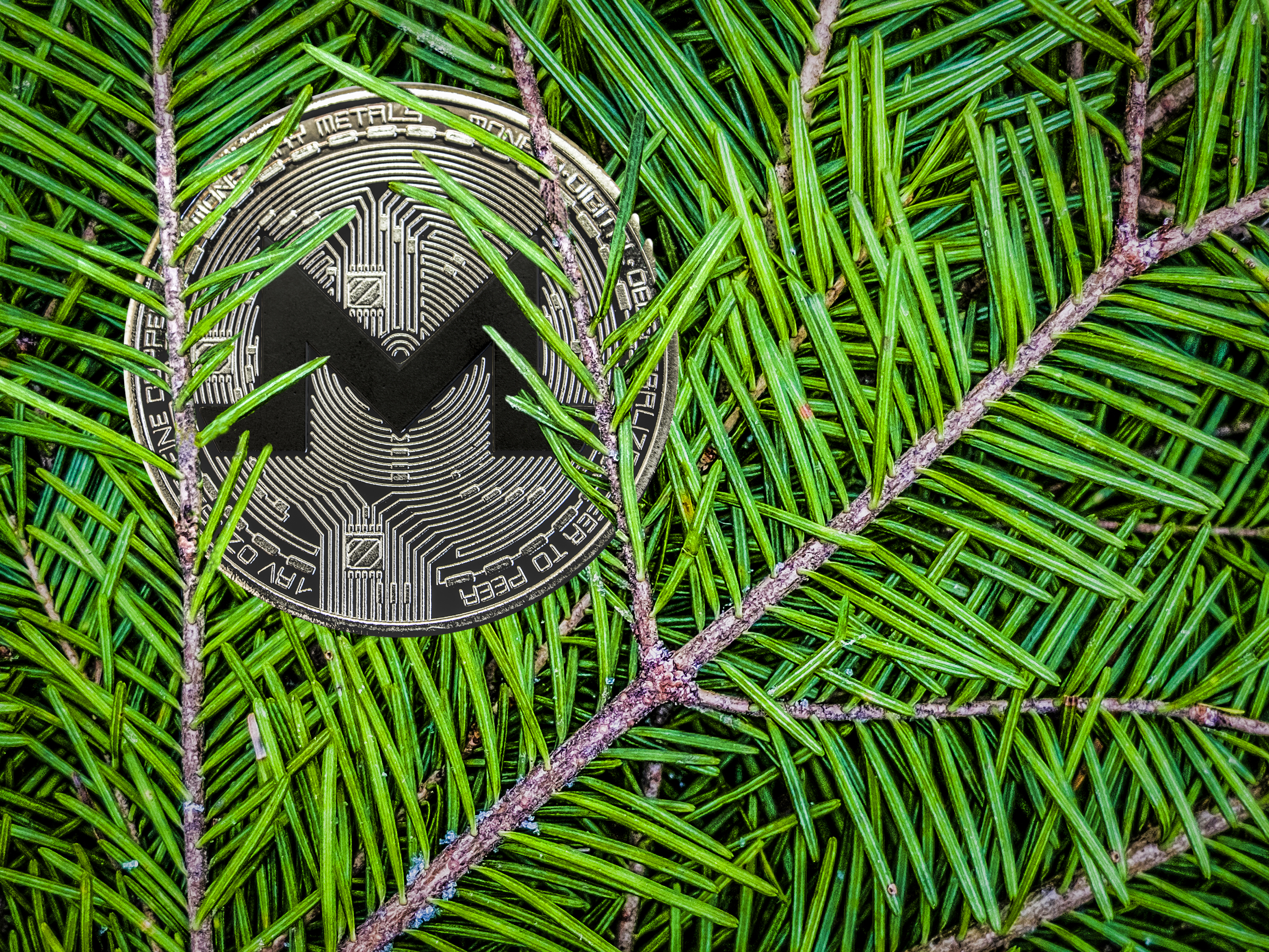 monero-anonymitaet-usa