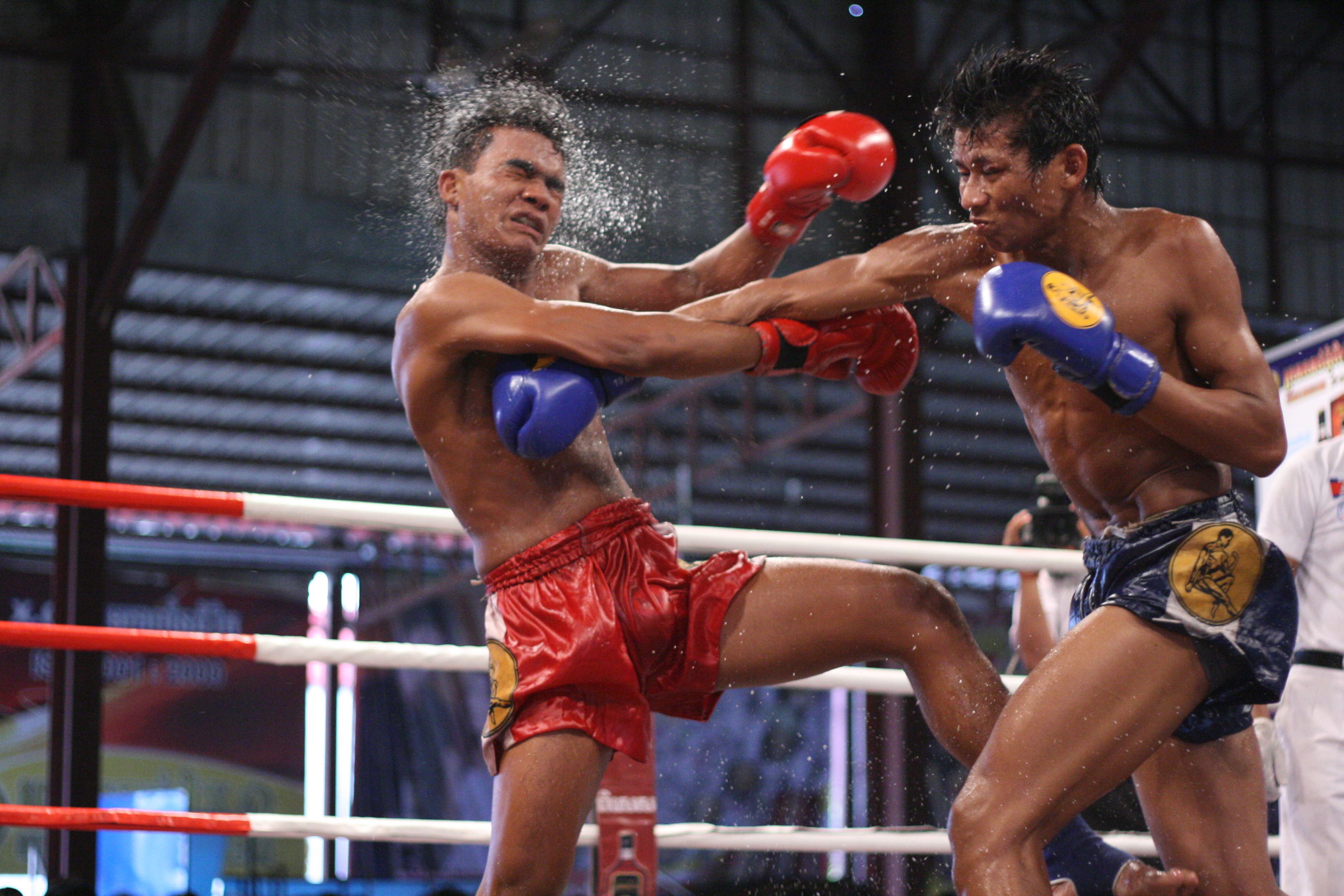litecoin-ltc-glory-kickboxen