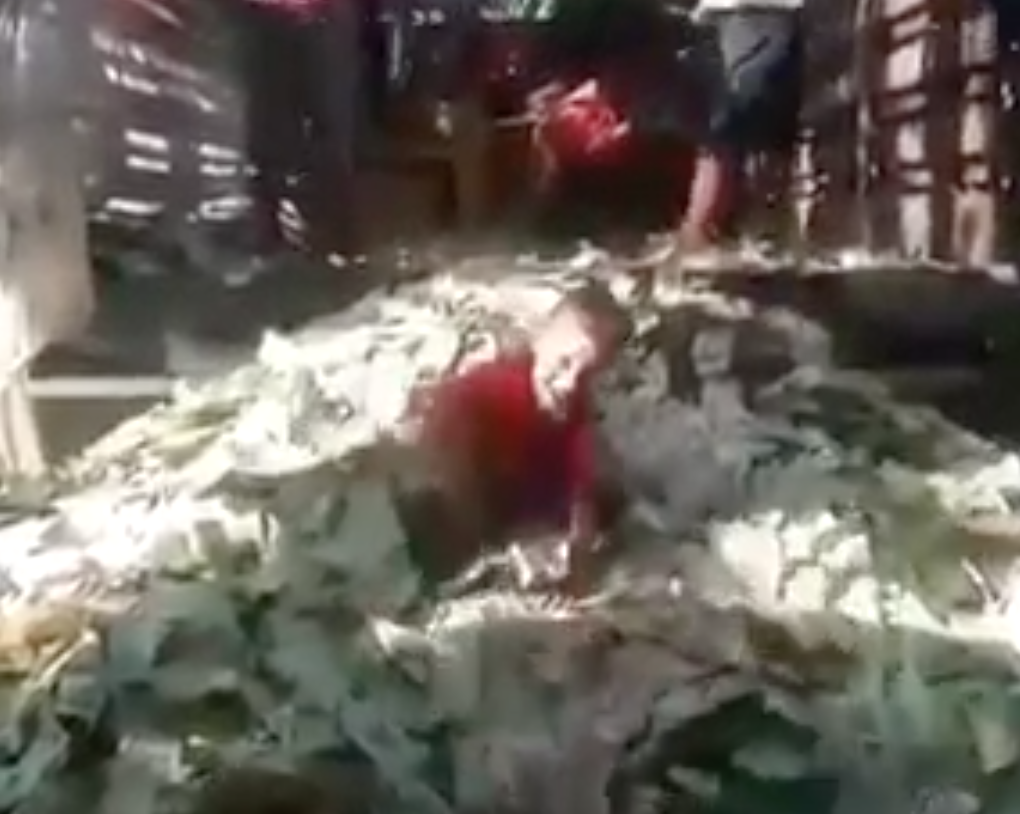 Was uns dieses Video aus Venezuela über Bitcoins Zukunft verrät