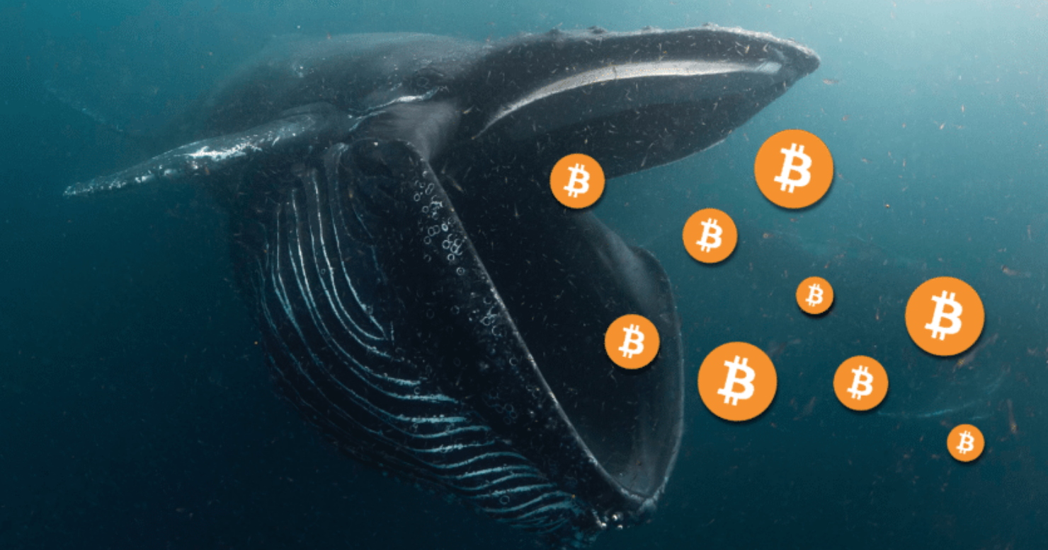 bitcoin-wale-preis-2019