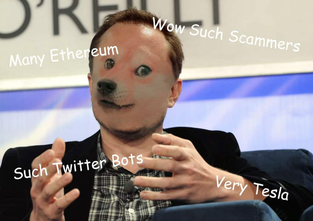 dogecoin-ceo-elon-musk