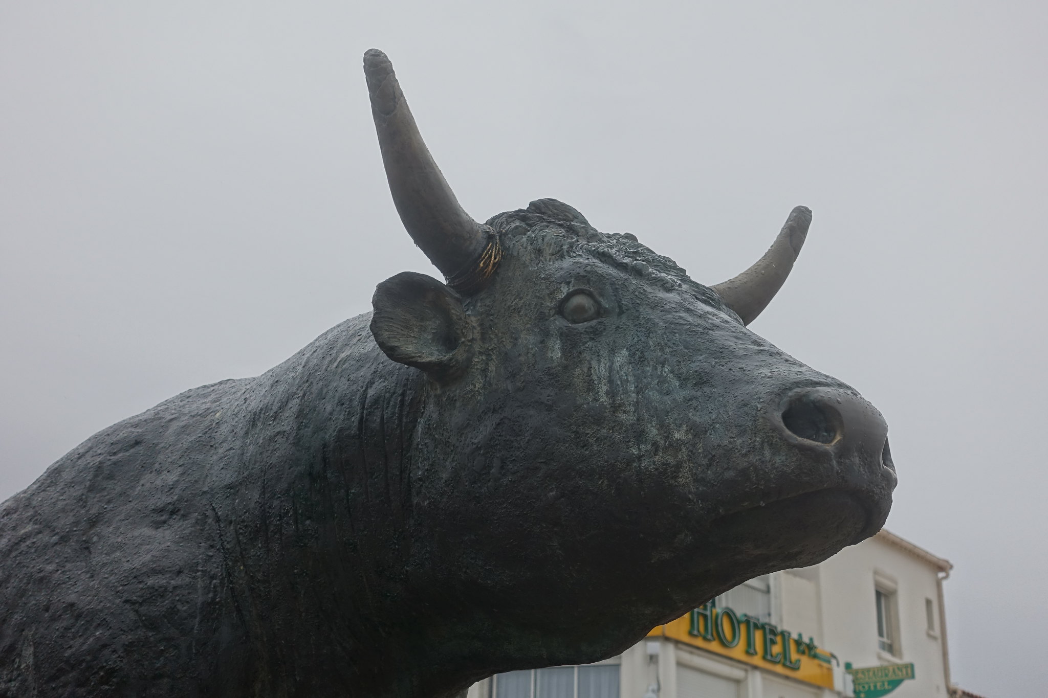 bullrun-bitcoin-ethereum-xrp-eos-litecoin