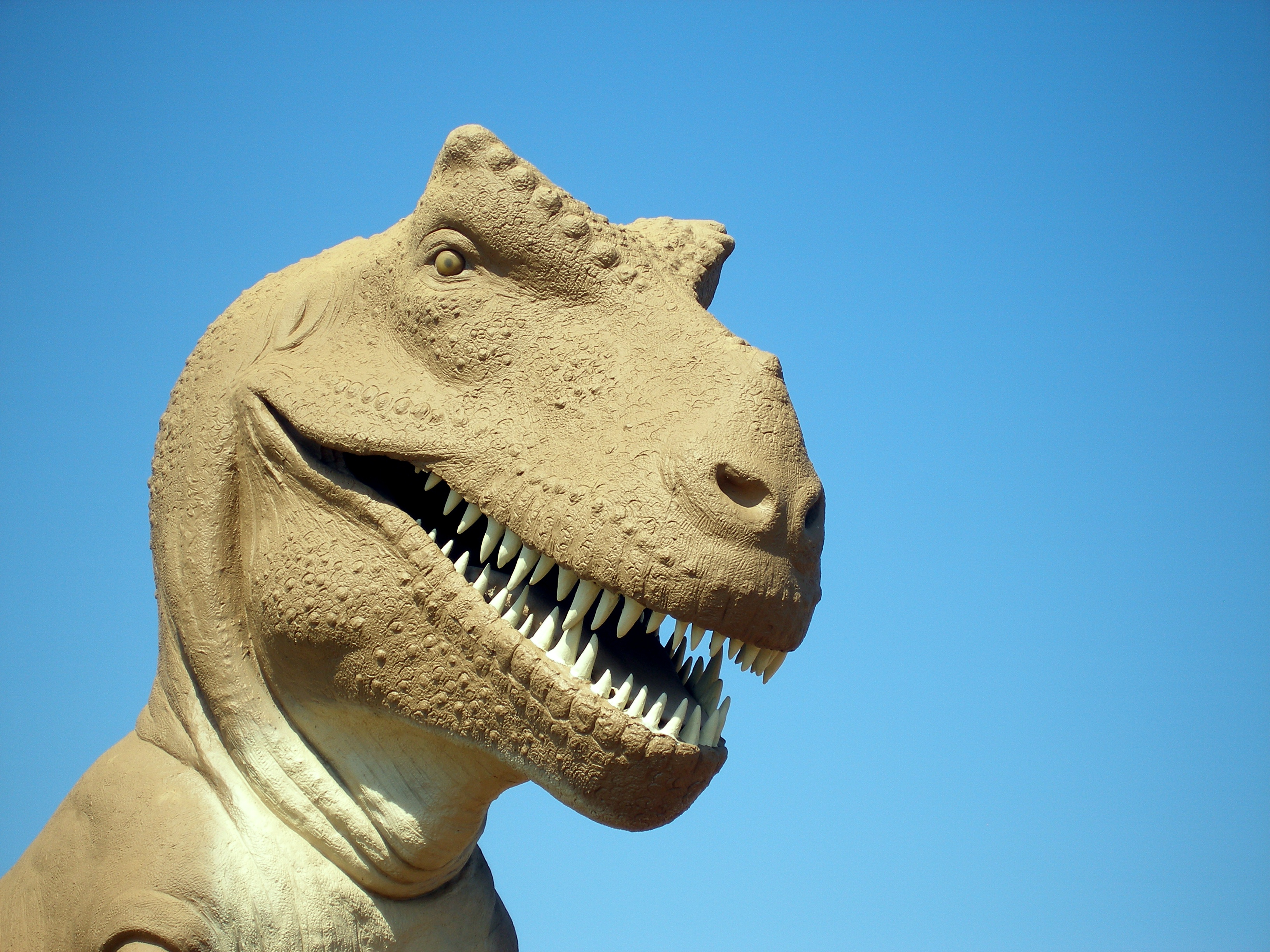 eos-resource-exchange-rex