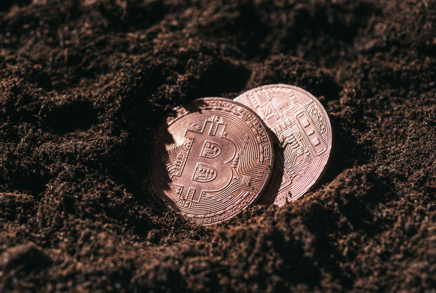 warum-anfaenger-ausser-bitcoin-btc-keine-kryptowaehrungen-kaufen-sollten