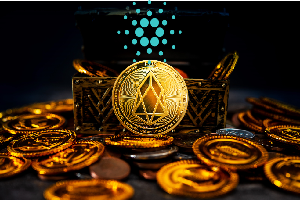 cardano-erreicht-neuen-meilenstein-anzahl-der-inhaber-erreicht-51-millionen
