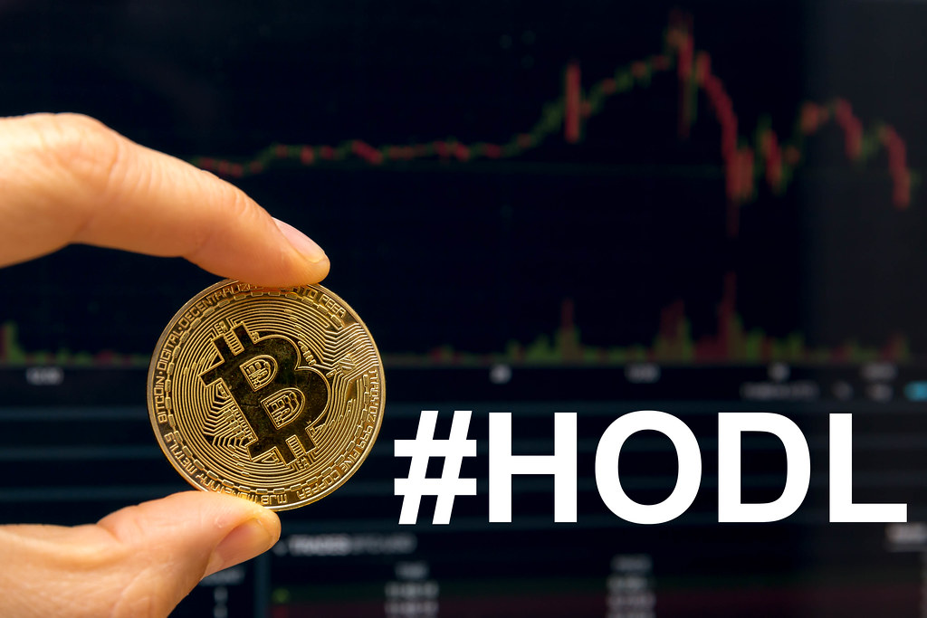 elon-musk-ceo-hodlt-bitcoin-btc