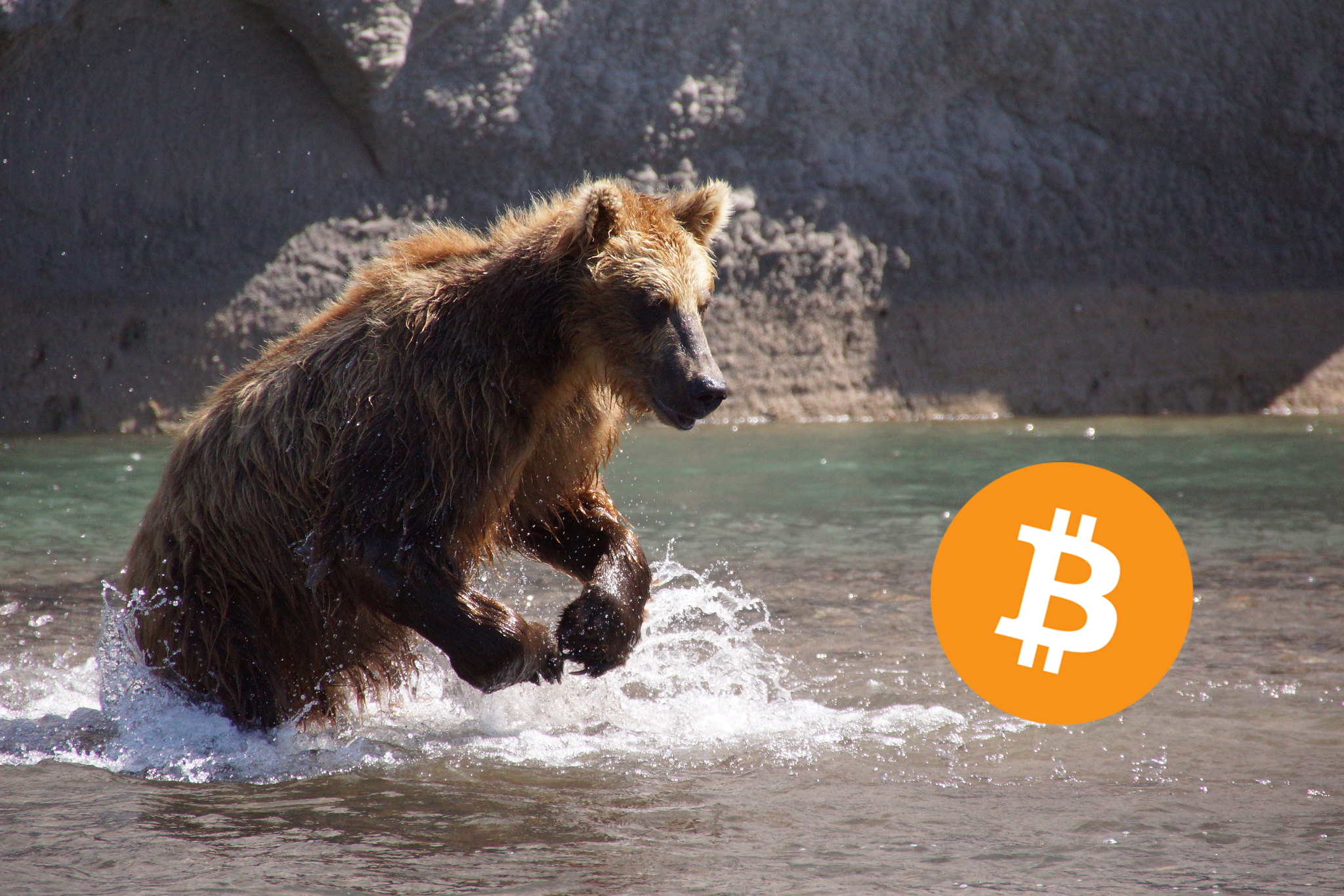 bitcoin-dieser-krypto-trader-warnt-vor-baerischen-szenario