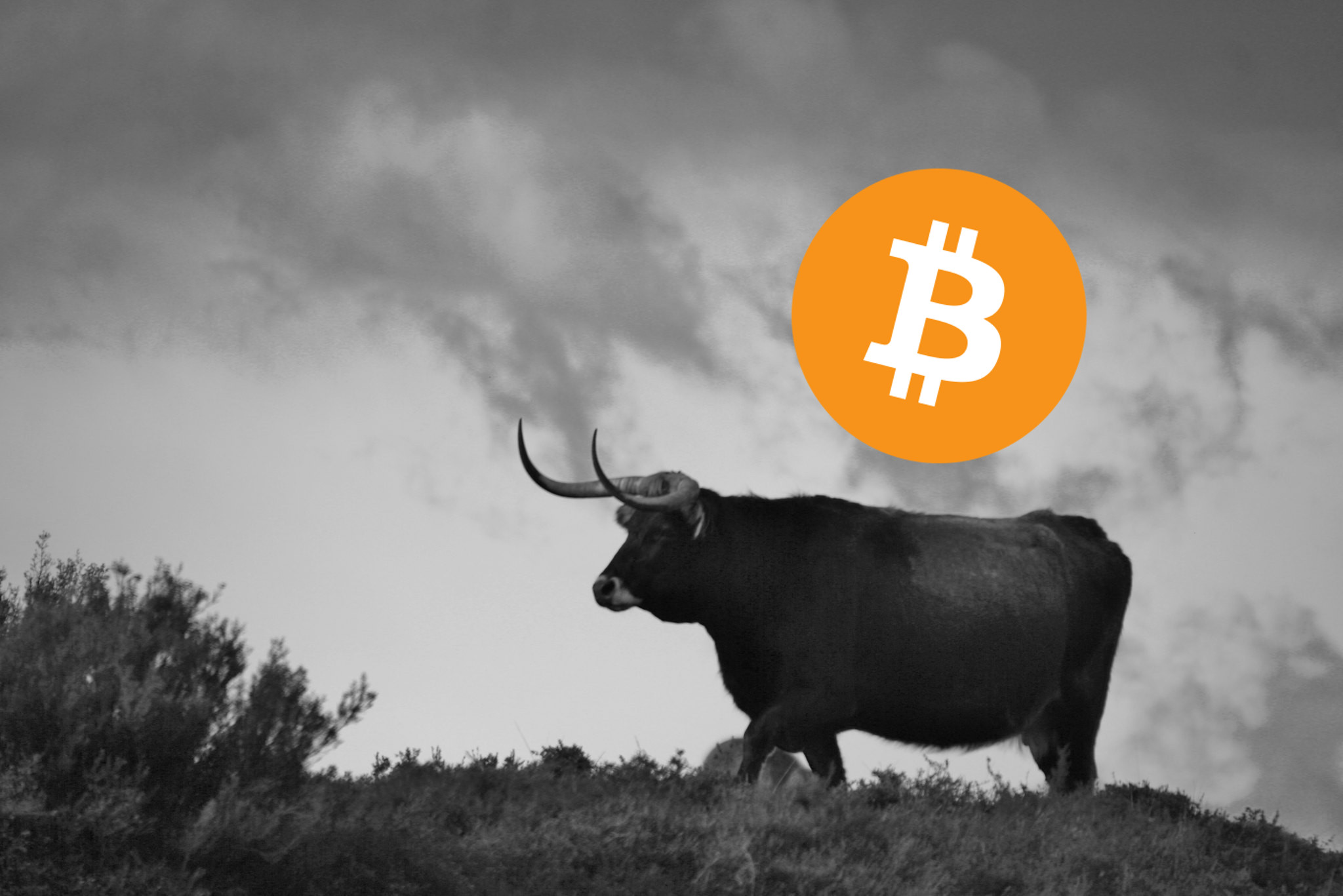 bitcoin-crypto-fear-creed-index-zeigt-bullische-stimmung-an