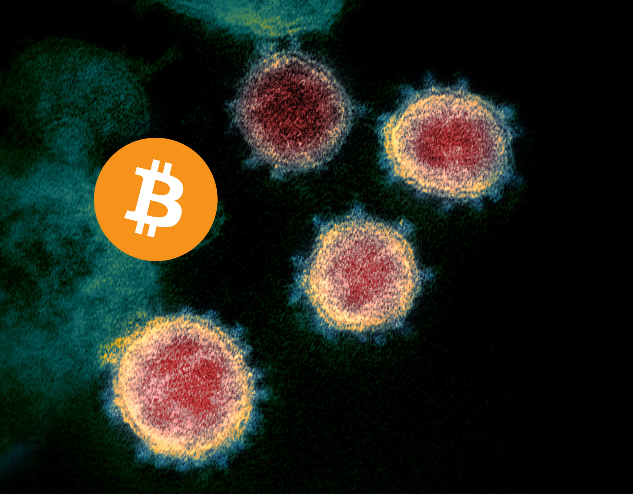 eilmeldung-bitcoin-besiegt-corona-impfrezept-verschluesselt-in-blockchain-entdeckt
