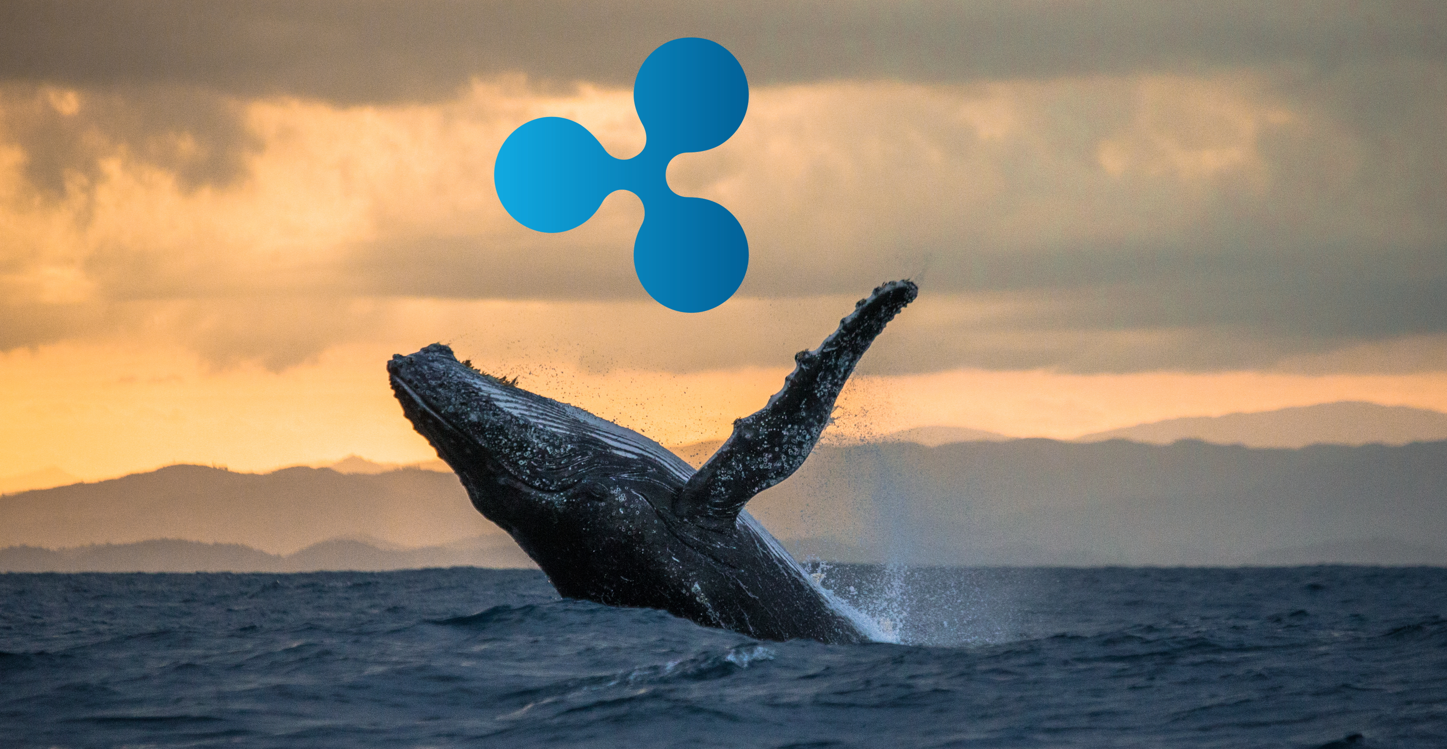 xrp-preisrally-wal-wird-potenzieller-insiderhandel-vorgeworfen