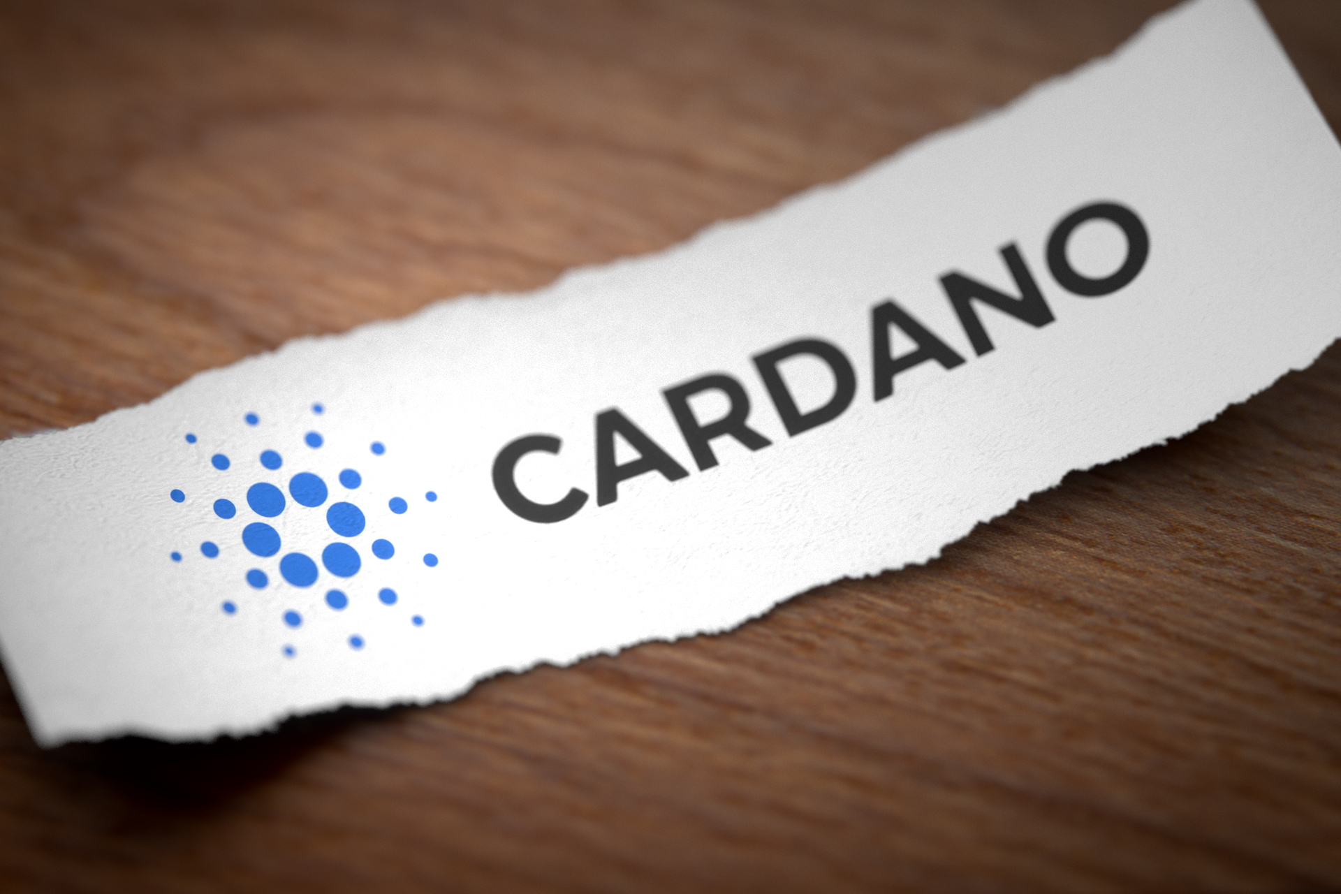 santiment-polkadot-kusama-und-cardano-zeigen-kritische-metrik