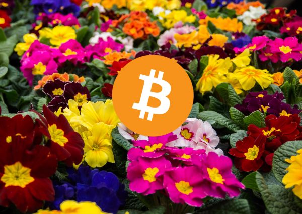 reddit-gruender-verkuendet-krypto-fruehling-musik-star-investiert