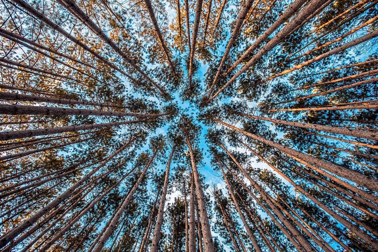 zahlen-der-blockchain-unternehmen-steigen-enorm-in-2020
