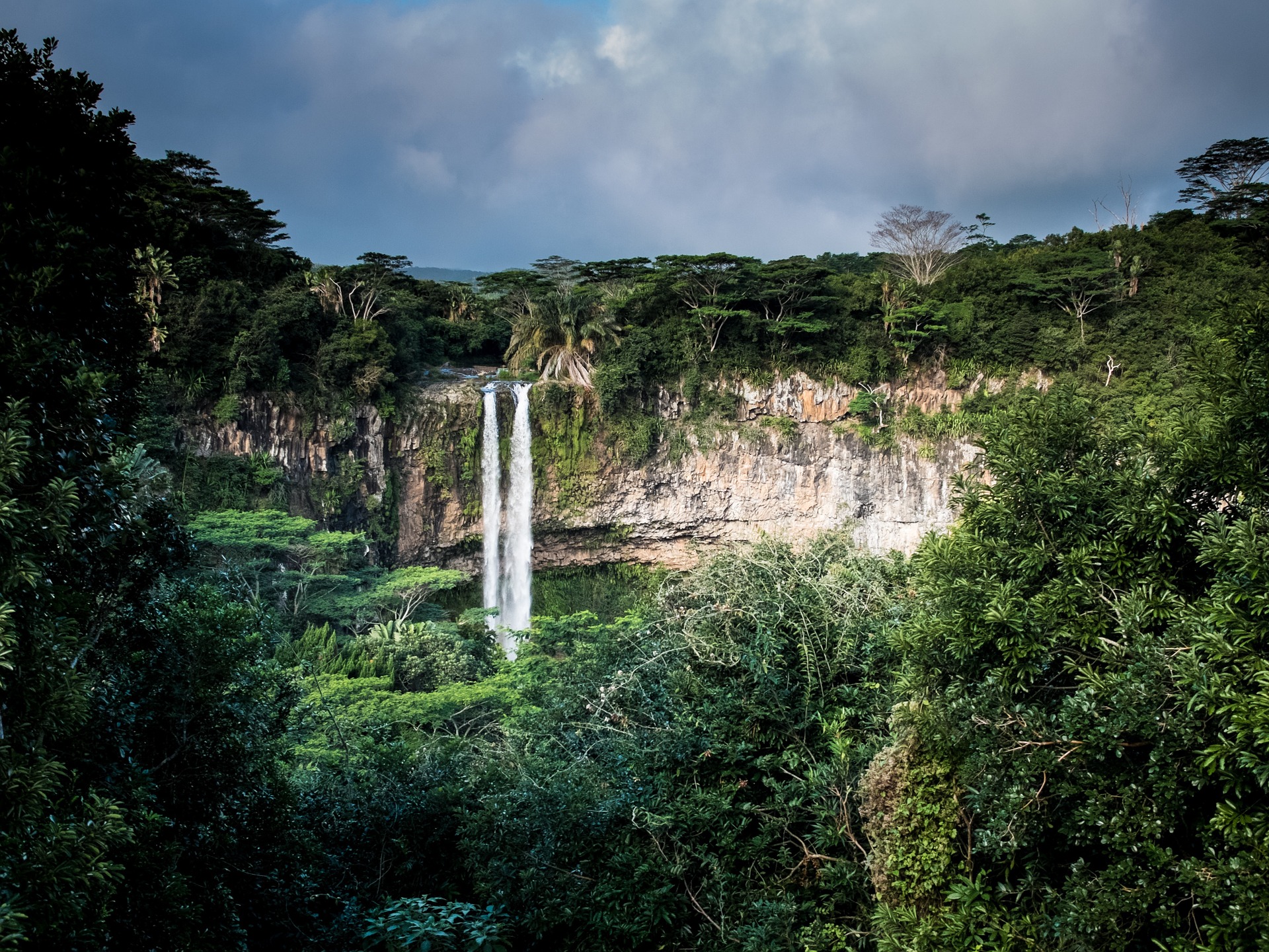 brasiliens-regenwald-wird-durch-blockchain-gerettet