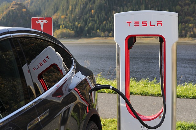 elon-musk-bitcoin-ist-mein-safe-word