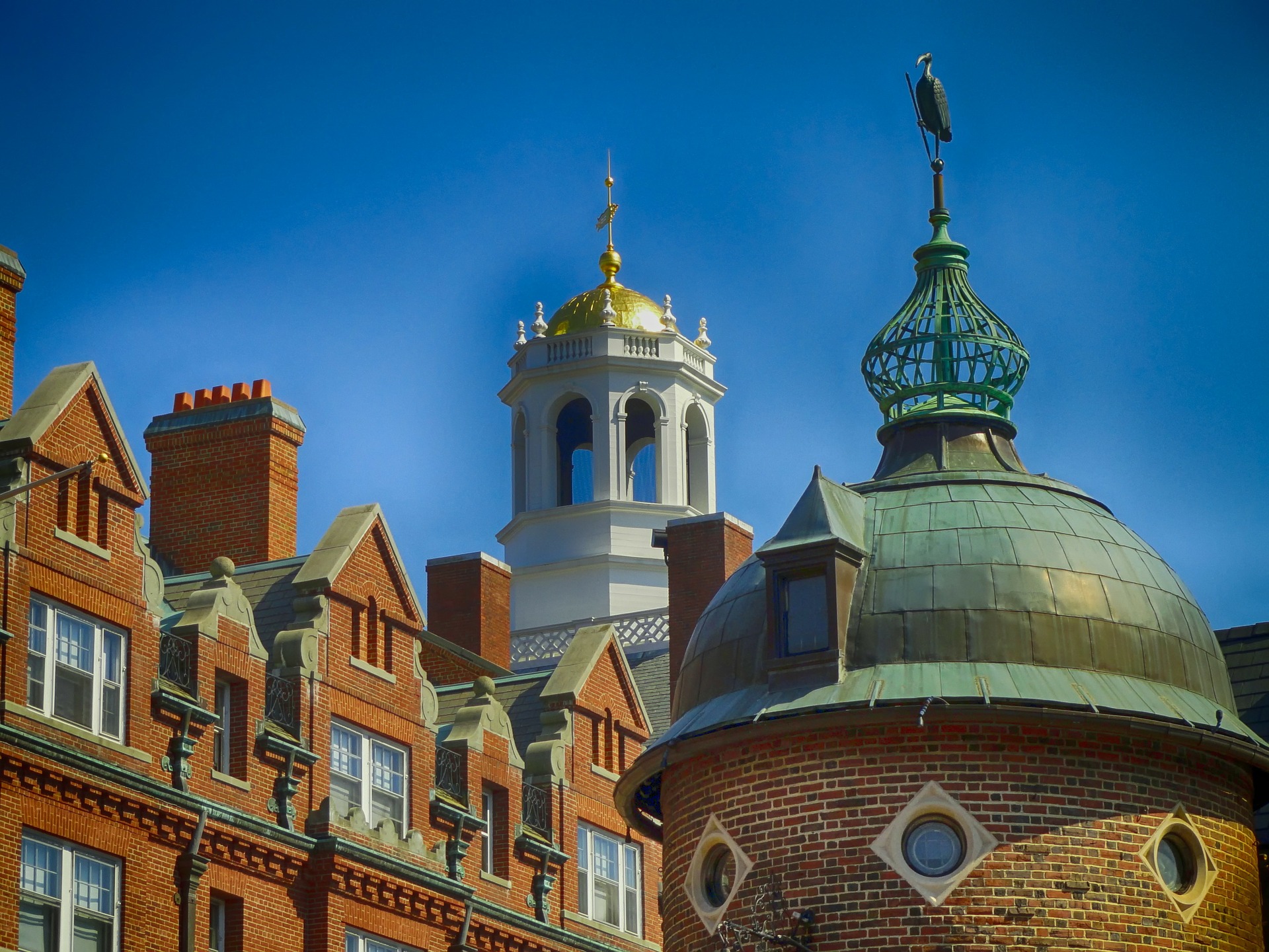 harvard-und-yale-stiftungen-kaufen-angeblich-bitcoin-und-andere-altcoins