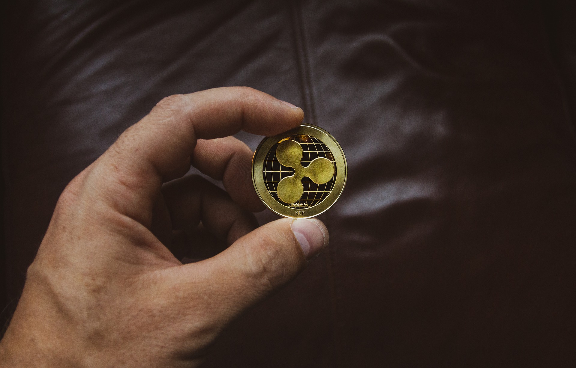 ripple-will-den-nft-hype-auf-den-xrp-ledger-uebertragen