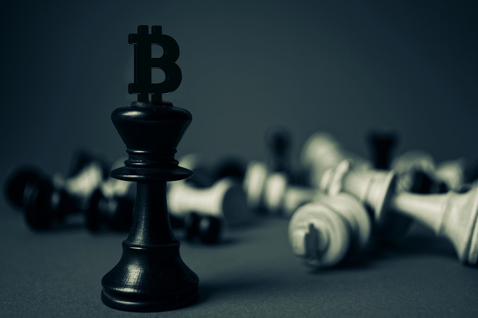 bitcoin-erreicht-zum-ersten-mal-seit-zwei-jahren-eine-marktdominanz-von-50