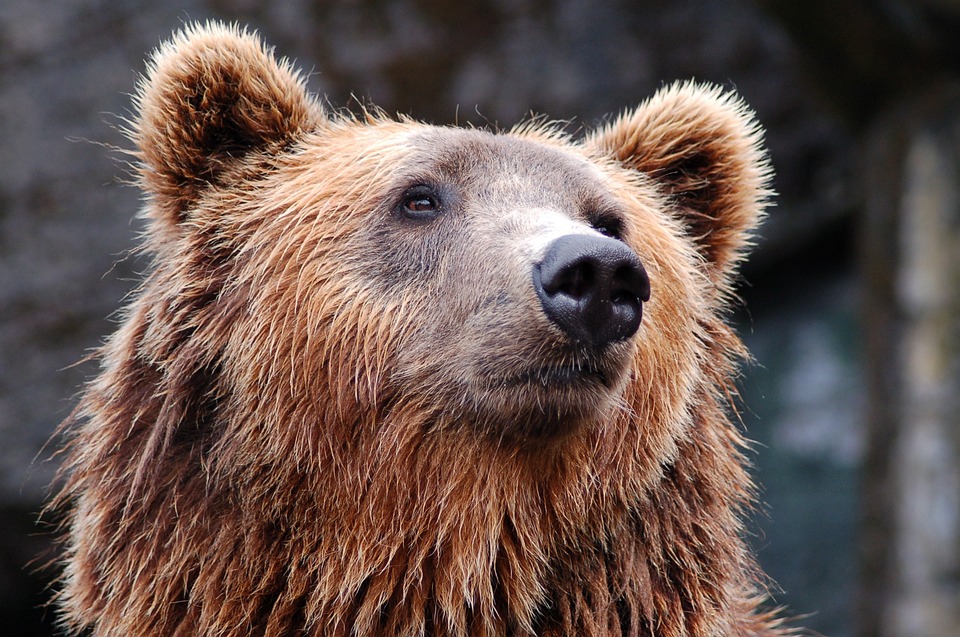 bitcoin-btc-stuerzt-in-60-minuten-um-5