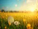 bitcoin-und-ethereum-im-aufwind-startet-die-sommerrallye-im-kryptomarkt