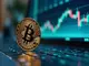 peter-schiff-warnt-bitcoin-koennte-unter-60-000-usd-fallen-microstrategy-im-fokus
