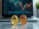 ripple-und-cardano-treiben-xrp-integration-voran-14-prozent-marktanteil-im-visier